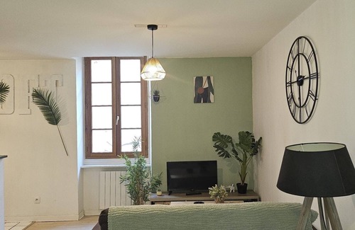 Carcassonne Apartment | Studio Jungle Centre-ville