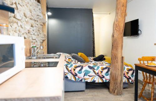 Saint-Antoine-l'Abbaye Apartment | Studio L'Échappée du Chapeau Rouge