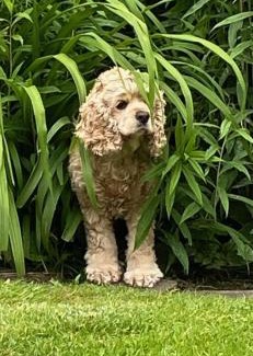 Abbeville Apartment | Studio La vie est belle