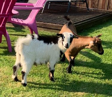 Abbeville Apartment | Studio La vie est belle