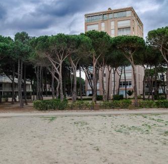 Argeles Plage Apartment | Studio les pieds dans l'eau Argeles Sur Mer