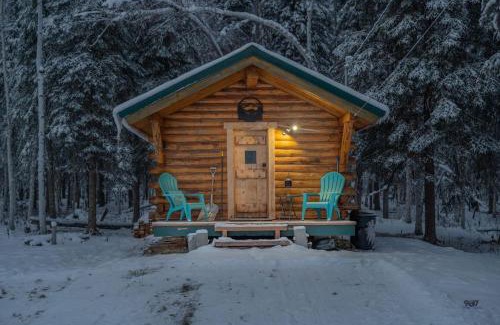 Fairbanks House | Studio Log DRY Cabin| Aurora Views!