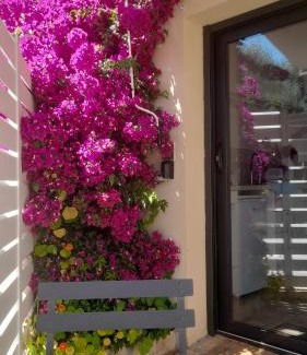 Puget-Ville Apartment | Studio logement entier calme neuf climatisé avec extérieur