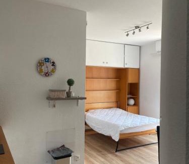 Salies-de-Bearn Apartment | Studio lumineux au calme en centre ville, face aux thermes