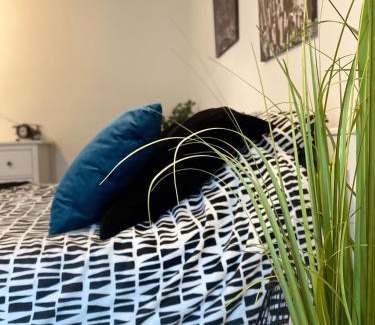 Wissembourg Apartment | Studio Moderne Tout équipé Wifi - Parking gratuit - Proche de la Nature