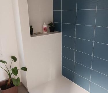 Ruaudin Apartment | Studio neuf de plain-pied