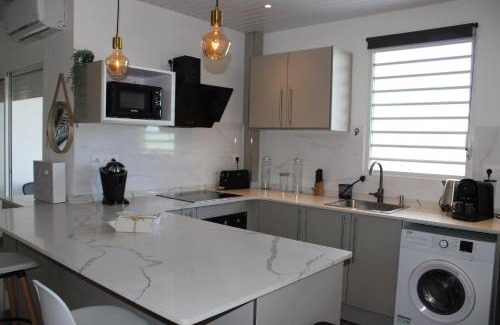 Cayenne Apartment | Studio Ocelot - Grand studio moderne avec terrasse