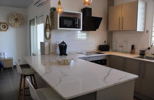 Cayenne Apartment | Studio Ocelot - Grand studio moderne avec terrasse
