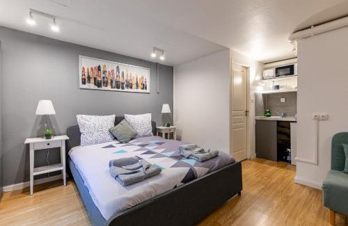 Foret Noire Apartment | Studio Orangerie & centre