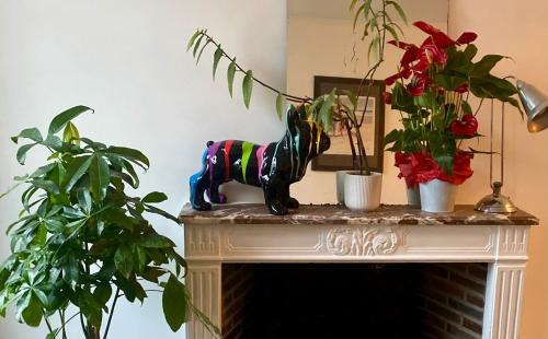 Rambouillet Apartment | Studio Plein Centre