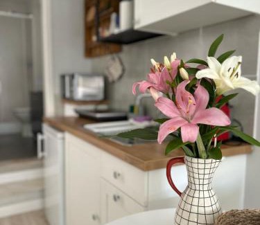 Parede Apartment | Studio Polvo