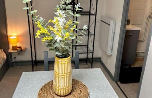 Bourg-en-Bresse Apartment | Studio proche Gare