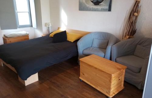 Vitre Apartment | STUDIO RDC au pied du château et balcon sur la vilaine