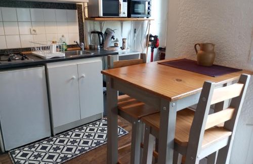 Vitre Apartment | STUDIO RDC au pied du château et balcon sur la vilaine