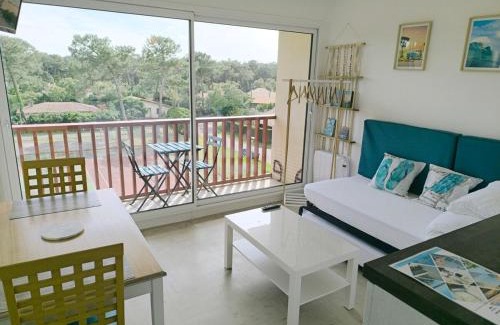 Mimizan Apartment | Studio seagulls