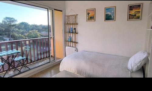 Mimizan Apartment | Studio seagulls