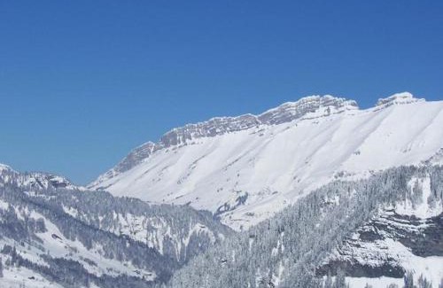 Notre-Dame-de-Bellecombe Apartment | Studio skis aux pieds avec piscine chauffée et tennis - FR-1-505-50