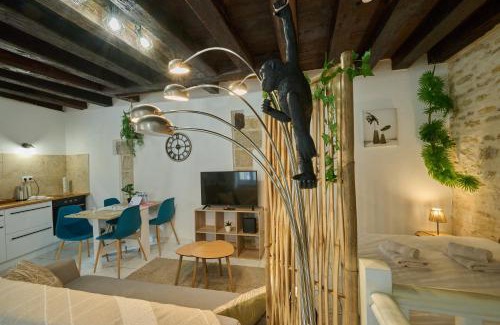 Nevers Apartment | Studio Solana Hyper center by Primo conciergerie