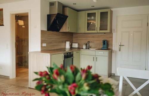Bad Krozingen Apartment | Studio-Standard-Private Bathroom-Balcony