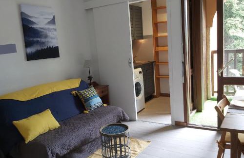Briancon Apartment | Studio sur parc proche centre et télécabine