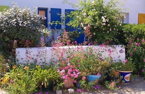 Ile d'Yeu Apartment | Studio Symami