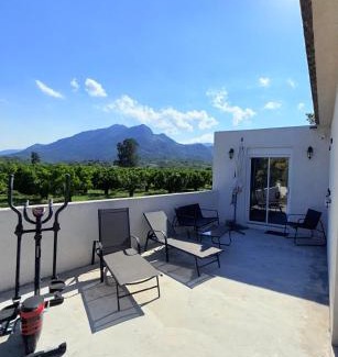 Santa-Lucia-di-Moriani Apartment | Studio vue sur les clémentiniers