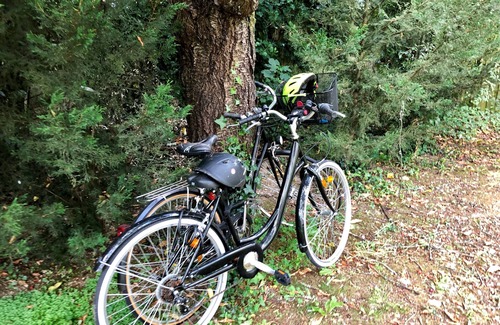 Maurepas Apartment | Studio with terrace and Garden