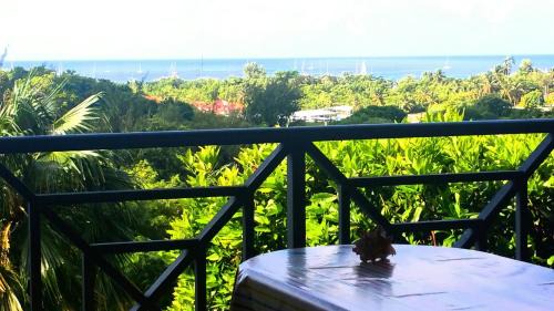 Sainte-Anne Apartment | Studios Carribean Sea View