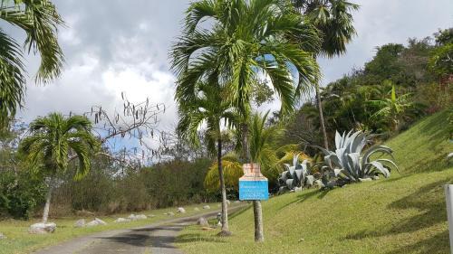 Sainte-Anne Apartment | Studios Carribean Sea View