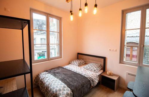 Chatellerault Apartment | Studios Saint Jacques, Châtellerault