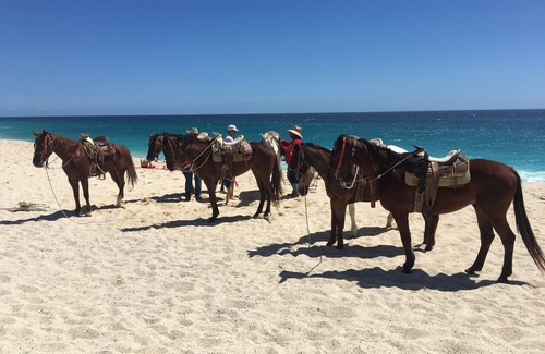 El Rosarito Condo | Stunning 2 B/R ocean front condo near Cabo San Lucas