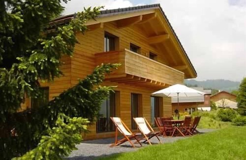 Leysin Ski Chalet | Stunning detached chalet with a large garden and views, Swiss Alps for 11 people