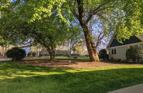 Raleigh House | Stunning Executive Home - Walk to North Hills - Hardscaping/Firepit - LOCATION!