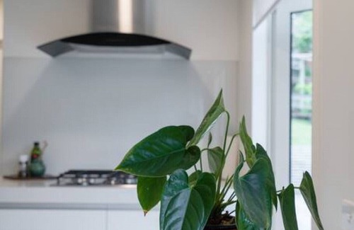 St. Heliers House | Stunning in St Heliers