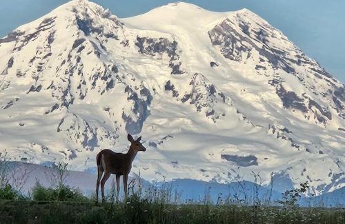 Eatonville House | Stunning Mt Rainier Views!tahoma Ridge Cottage