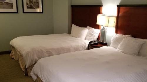 Downtown Myrtle Beach Apartment | Stunning Ocean Front Views steps to BoardwalkPier