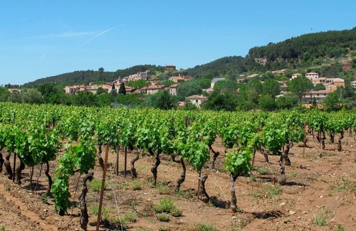 Gonfaron House | Stunning villa for 6 people with A/C, private pool, WIFI, TV, terrace and parking