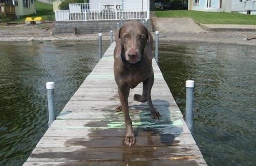 Auburn House | STUNNING WINE COUNTRY LAKE HOUSE, NICEST ON OWASCO LAKE