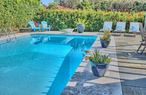 Paget Apartment | StunningModernApt StepsToBeach LargePool Central