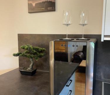 Zwiesel Apartment | Stylische Ferienwohnung Casagrande mit Vollausstattung