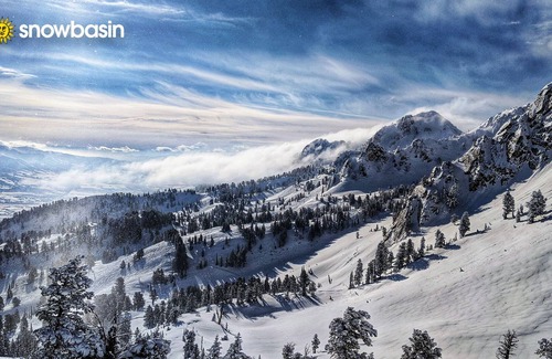 Morgan Apartment | Stylish 2 BD/1 BTH with private patio & central to ski resorts!