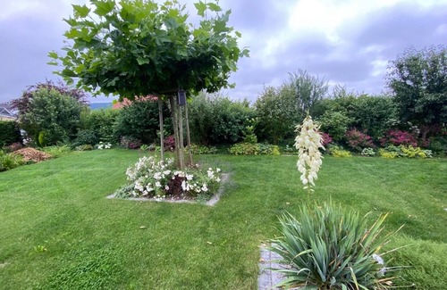 Hessental Apartment | Stylish 2-room apartment in a quiet location