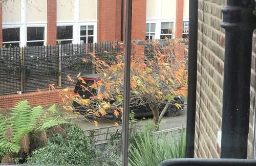 Dulwich House | Stylish and unique 2 bedroom house in East Dulwich