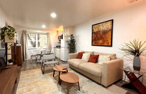 Braeswood Place Apartment | Stylish Cozy 1BR Near NRG Stadium + Fast WiFi & Free Parking