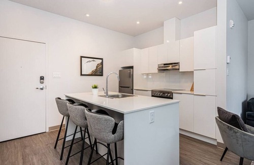 Plateau Mont Royal Apartment | Stylish & Fun 1 Bedroom Apartment in Le Plateau by Denstays