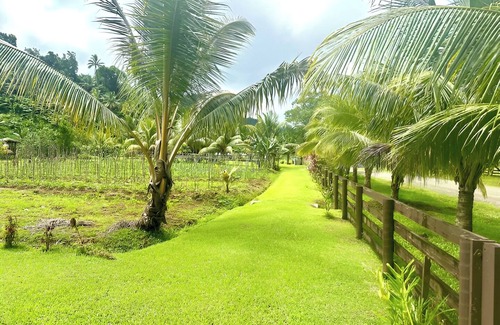 Northern Division Villa | Stylish Furnished Farm Flat Tuvurara Savusavu