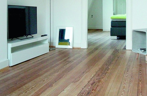 Sankt Arnual Apartment | Stylish living in modern period villa "Little Oyster"