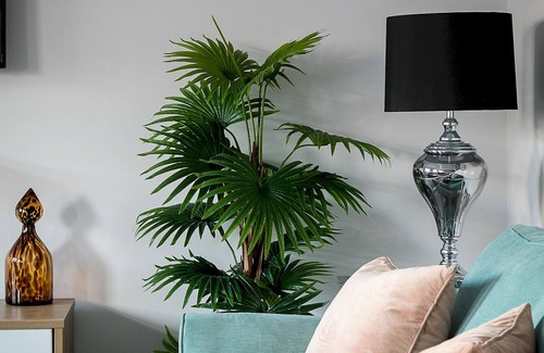 Earl's Court Apartment | Stylish modern 2-bedroom apartment on Cromwell