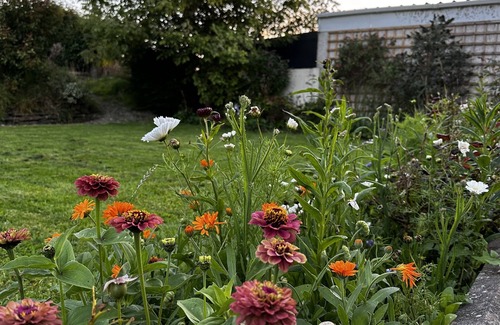 Cilgerran House | Stylish modern home with ample garden, parking and chickens! Close to beaches.