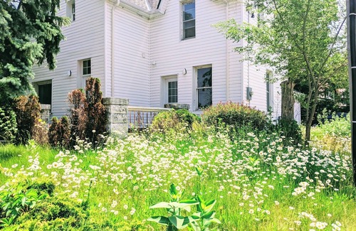 Barrie Apartment | Stylish & Modern House ♥ Walking distance to Barrie Beach!